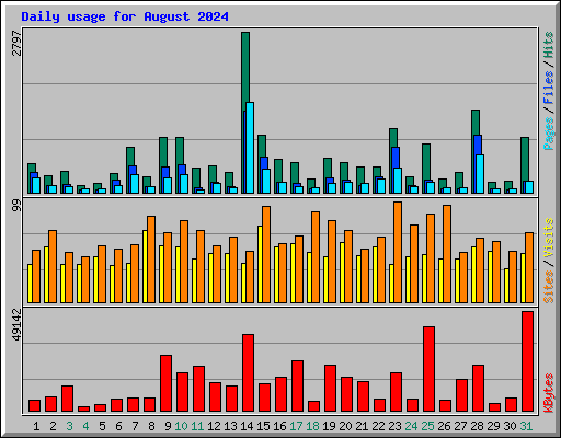 Daily usage for August 2024