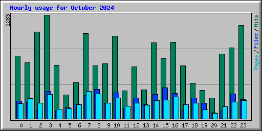 Hourly usage for October 2024