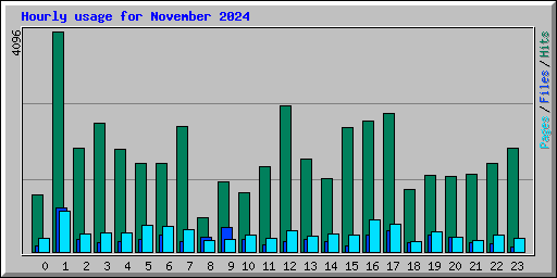 Hourly usage for November 2024